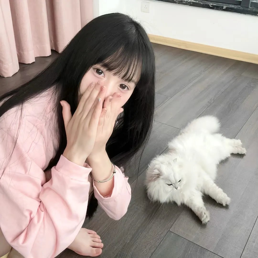 金装律师第一季